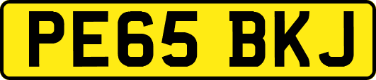 PE65BKJ