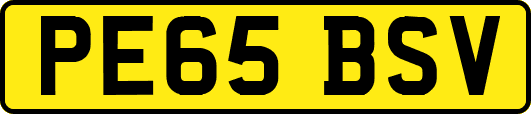 PE65BSV