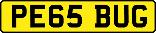 PE65BUG