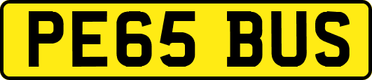 PE65BUS