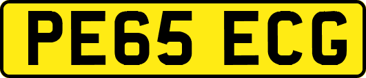 PE65ECG