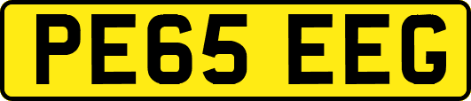 PE65EEG