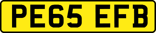 PE65EFB