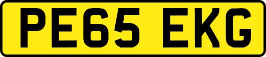 PE65EKG