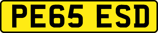 PE65ESD