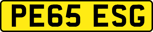 PE65ESG