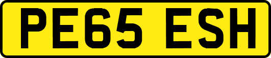 PE65ESH