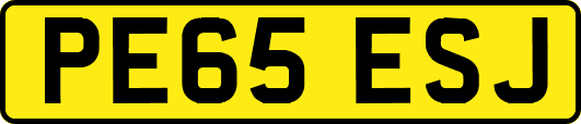 PE65ESJ