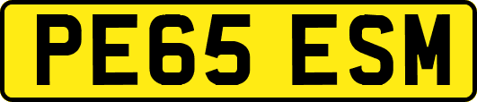 PE65ESM
