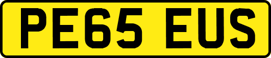 PE65EUS