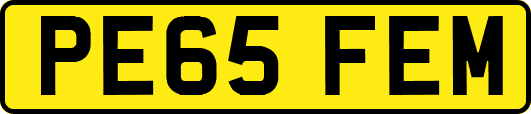 PE65FEM
