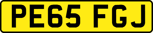 PE65FGJ