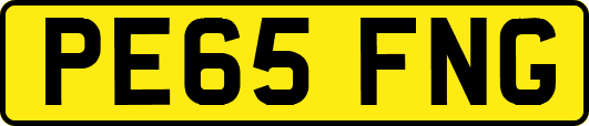PE65FNG