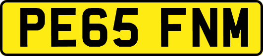 PE65FNM
