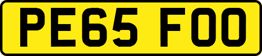 PE65FOO