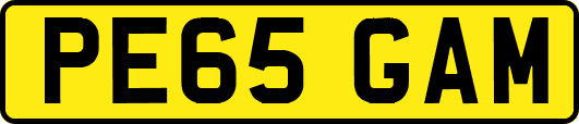 PE65GAM