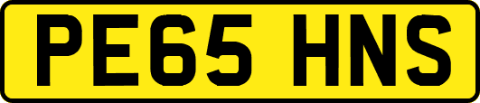 PE65HNS