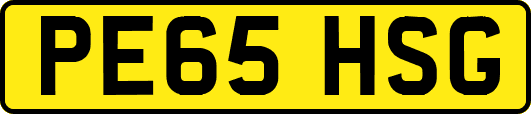 PE65HSG