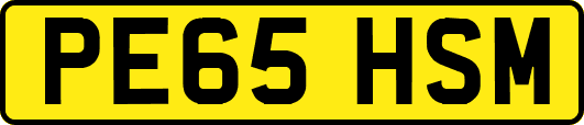 PE65HSM