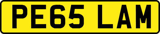 PE65LAM