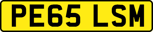 PE65LSM