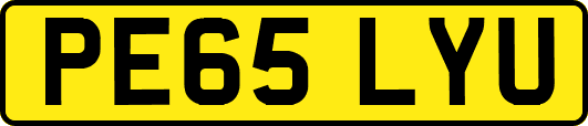 PE65LYU