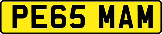 PE65MAM