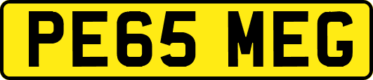 PE65MEG