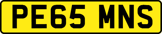 PE65MNS