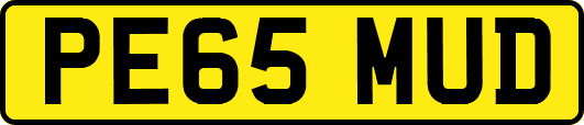 PE65MUD