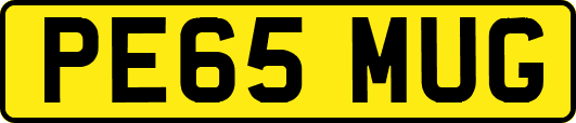 PE65MUG
