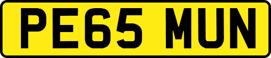 PE65MUN