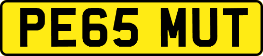 PE65MUT