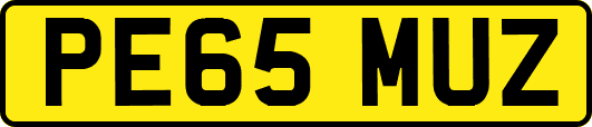PE65MUZ