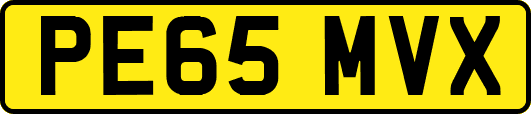 PE65MVX