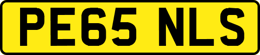 PE65NLS