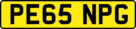 PE65NPG