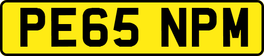 PE65NPM