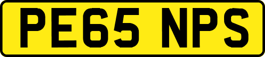 PE65NPS
