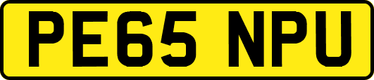 PE65NPU
