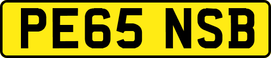 PE65NSB