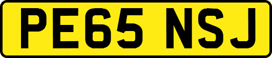 PE65NSJ