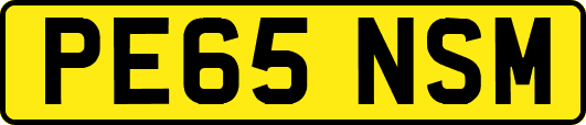 PE65NSM