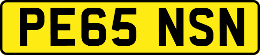 PE65NSN