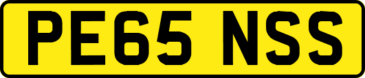 PE65NSS
