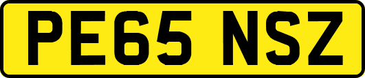 PE65NSZ