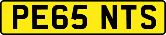 PE65NTS