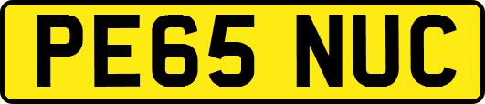 PE65NUC