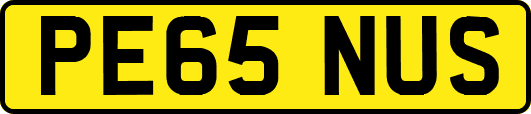 PE65NUS