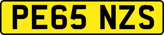 PE65NZS